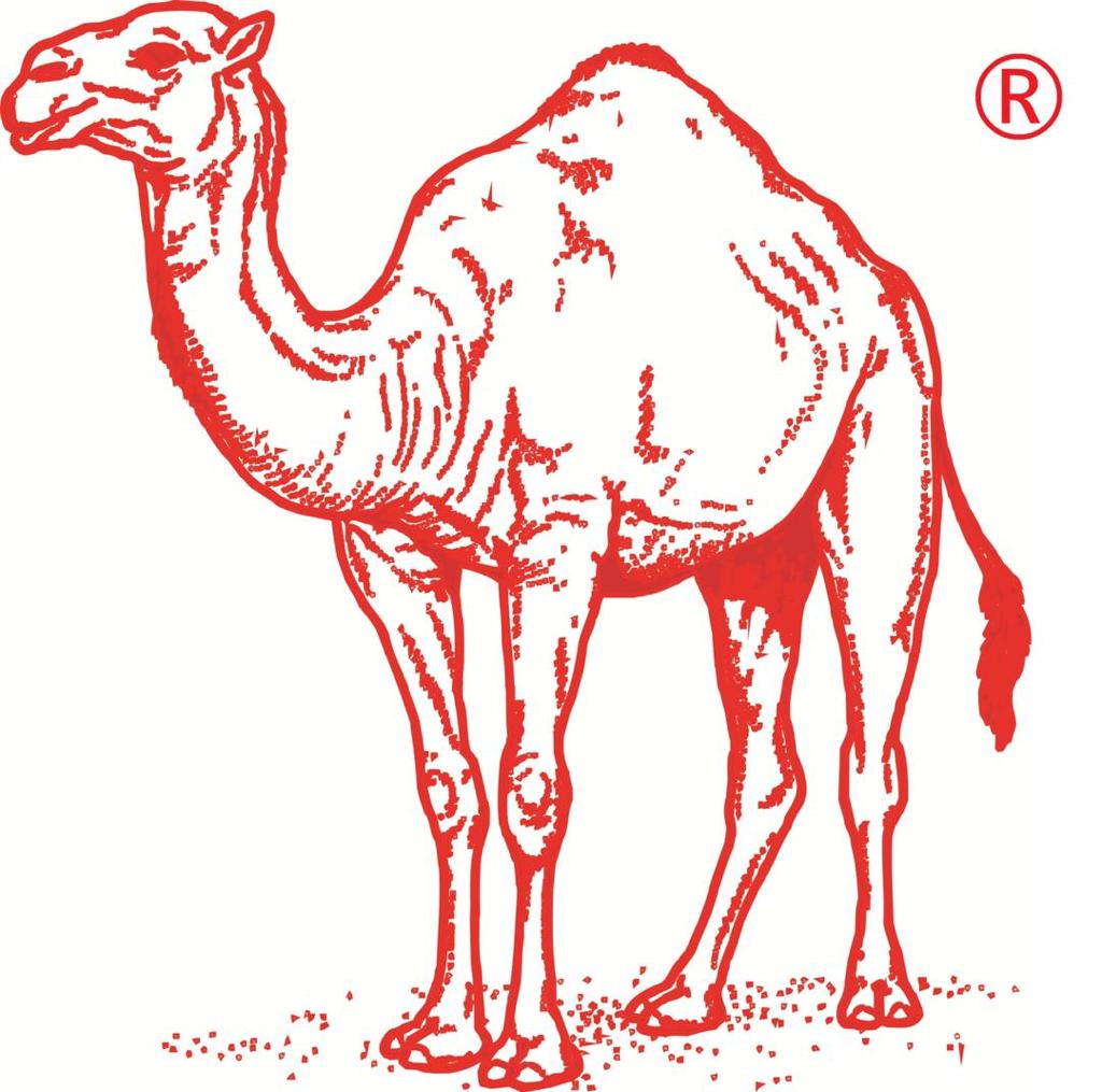 Company Name